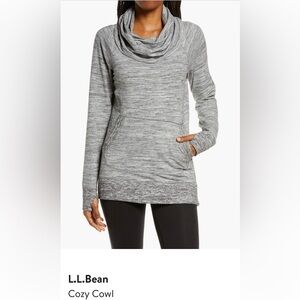 LL Bean Cozy Cowl Neck Pullover